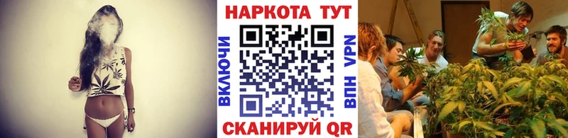 Виды наркотиков купить Кедровый Каннабис АМФЕТАМИН КОКАИН МЕТАМФЕТАМИН Меф мяу мяу Alpha-PVP Кодеин Гашиш