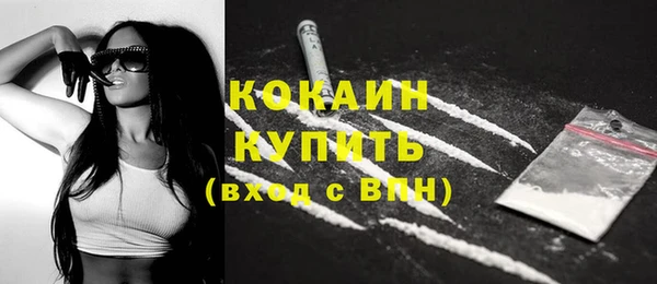 гашик Богородск