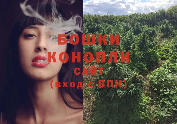 гашик Богородск